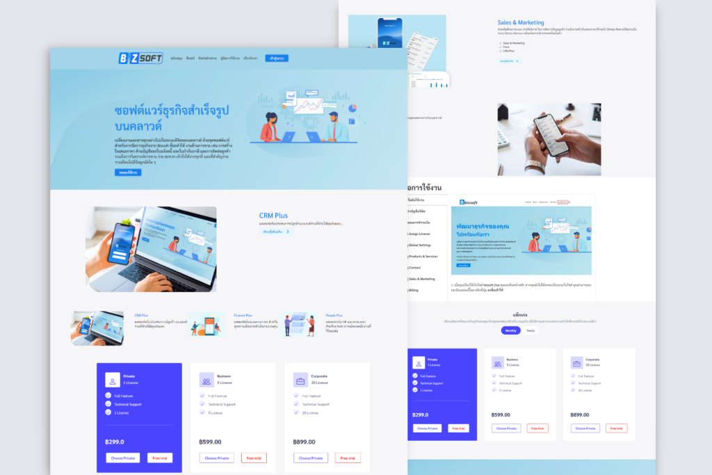 bizsoftwebsite